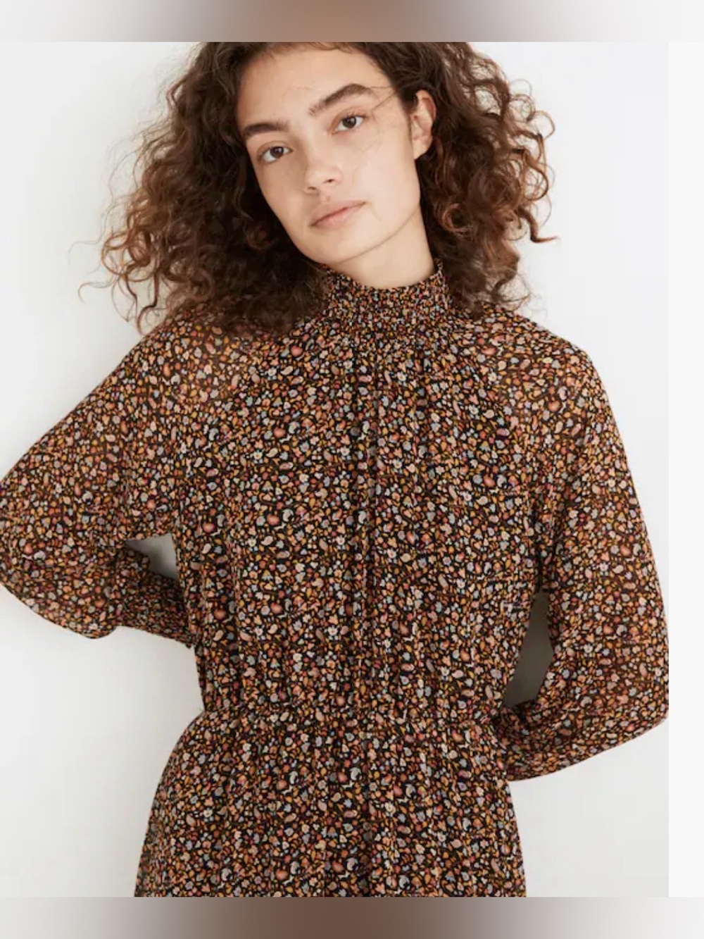 Madewell (Re)sourced Georgette Smocked-Neck Midi Dress in Folktale Paisley Sz XL - Picture 4 of 14